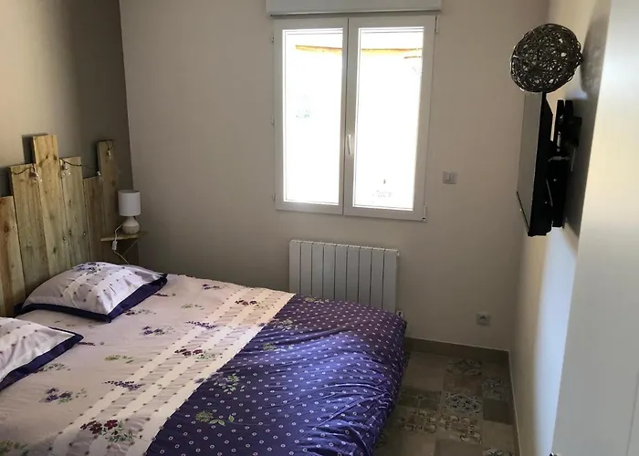 Tatil Evi Piscine Interieure31degres Zoo La Fleche24h Du Mans Clermont-Creans